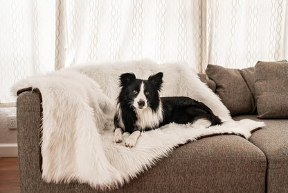 PupProtector Waterproof Throw Blanket for Dogs and Cats, Pet Blanket Cover for Couches, Sofas, Beds, Car Seats, Furniture, Calming Soft Faux Fur, Polar White, Original (60" L x 50" W)