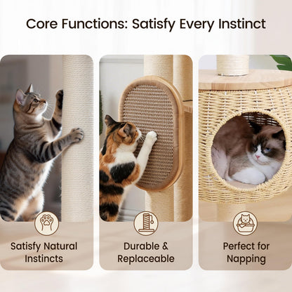 Modern Cat Tree，Cat Tower with Scratching Post. Chosen for real quality, fits naturally into modern