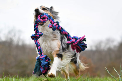 Mammoth Flossy Chews Rope Tug. Chosen for real quality, fits naturally into modern pet homes.