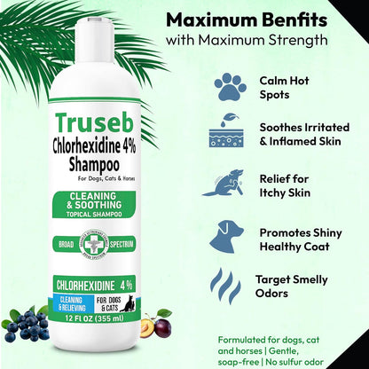 Truseb Topical Chlorhexidine 4% Shampoo for Dogs, Cats, and Horses with Plum/Blueberry Scent - 12 oz - Made in U.S.A (Chlorhexidine 4% Shampoo, 12 oz)