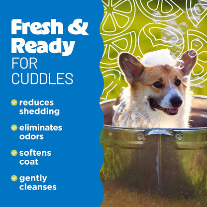 TropiClean Deshedding Dog Shampoo, Fast-Acting Shedding Control & Coat Softener, Puppy Safe, Made in USA, Lime & Coconut Scent, Cat Friendly, 20oz.