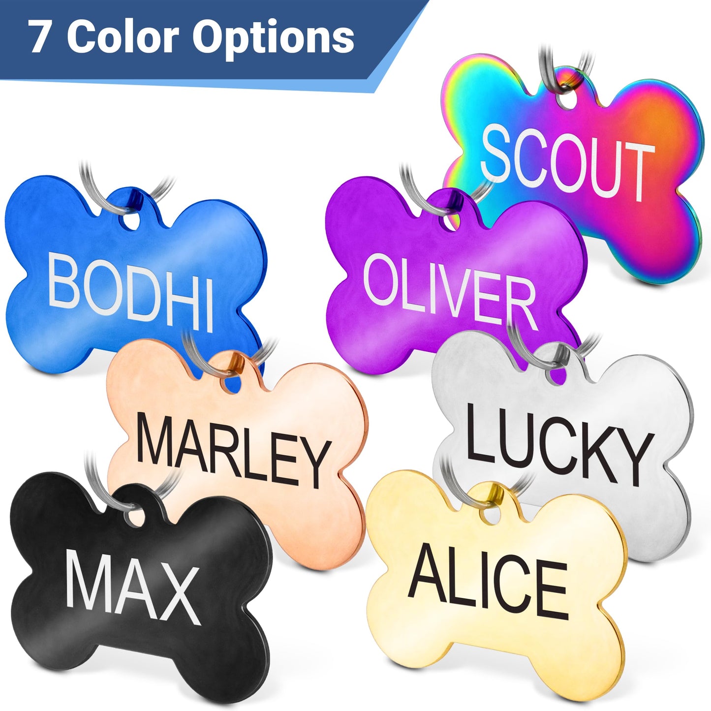 GoTags Stainless Steel Pet ID Tags. Chosen for real quality, fits naturally into modern pet homes.