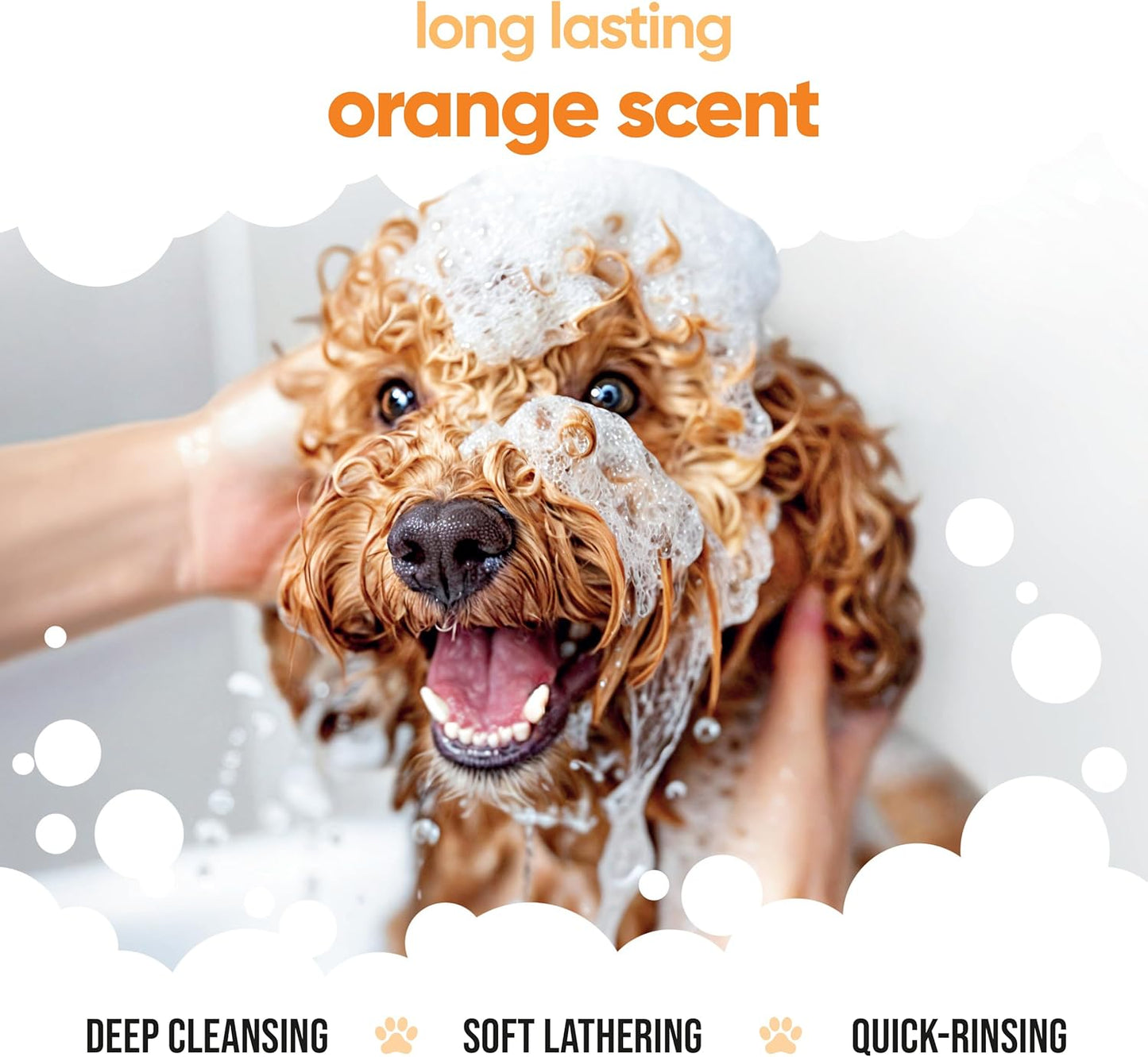 Orange Dog Shampoo by Buddycare | with Aloe Vera and Pro Vitamin B5 (50.72oz)