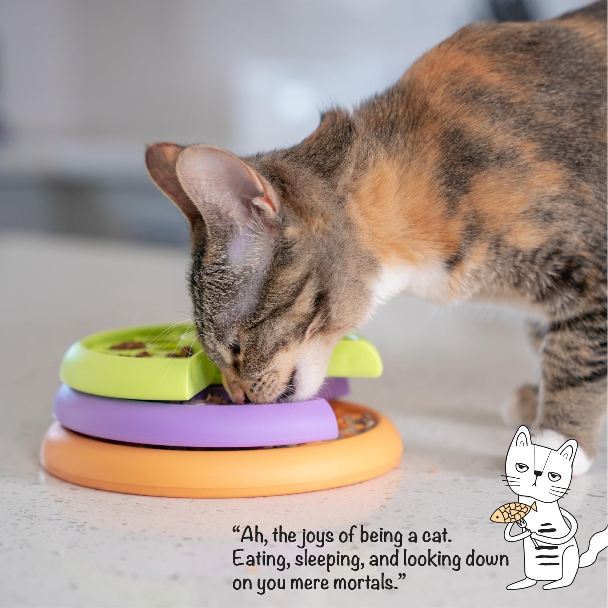 Catstages Nina Ottosson Kitty Lickin' Layers Cat Toy. Chosen for real quality, fits naturally into