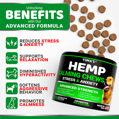 Hemp Calming Chews for Dogs. Chosen for real quality, fits naturally into modern pet homes.