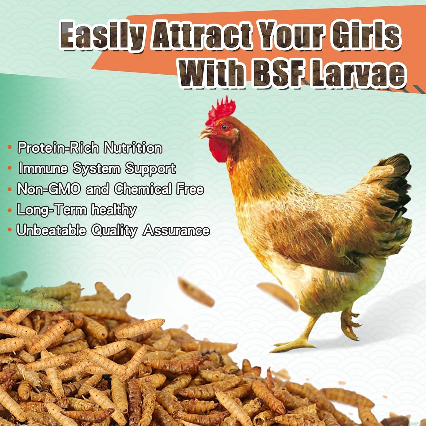 Dried Black Soldier Fly Larvae, 85X More Calcium Than Mealworms High-Protein BSF Larvae Chicken Treats Non-GMO BSFL for Chickens, Hens, Ducks, Wild Birds 5LBS