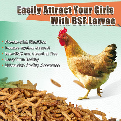 Dried Black Soldier Fly Larvae 44LBS, 85X More Calcium Than Mealworms High-Protein BSF Larvae Chicken Treats Non-GMO BSFL for Chickens, Hens, Ducks, Wild Birds