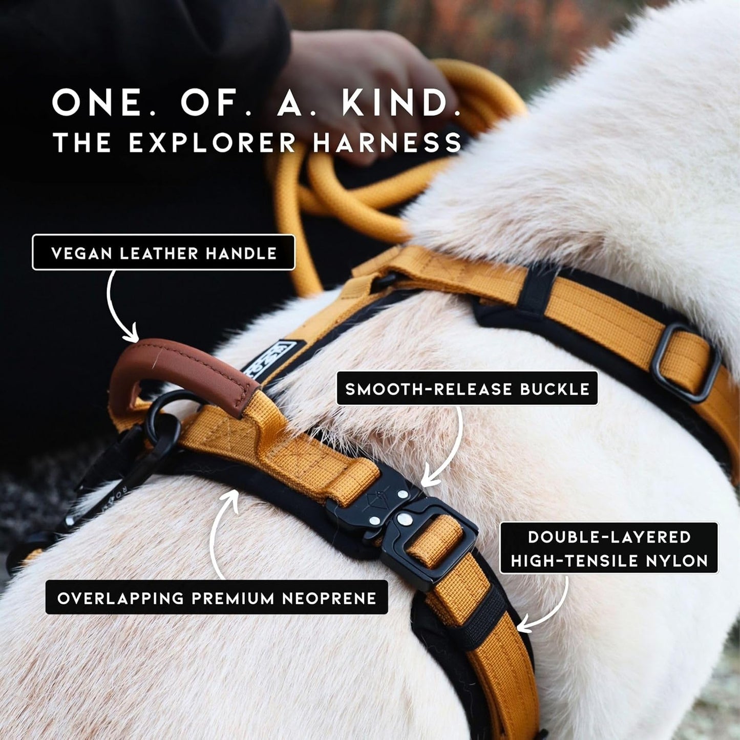 MADE TO ROAM Premium Explorer Harness - Y-Shaped Dog Harness with Adjustable Durable Nylon, Soft Padding, Metal Buckles and Leather Handle for Small, Medium, Large Dogs (Texas Flair, Size 7)