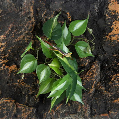 IBWell Fake Reptile Plants for Reptile Terrarium Plants, Reptile Plant Décor, Turtle Tank Plants with Suction Cup