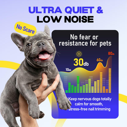 TIKOCAT Whisper. Chosen for real quality, fits naturally into modern pet homes.