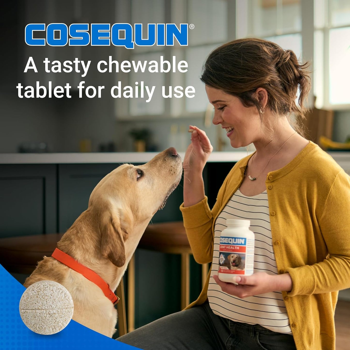 Nutramax Cosequin for Dogs Joint Health Supplement, Contains Glucosamine for Dogs, Plus Chondroitin and MSM, Supports Healthy Joints, Chewable Tablets, 250 Count