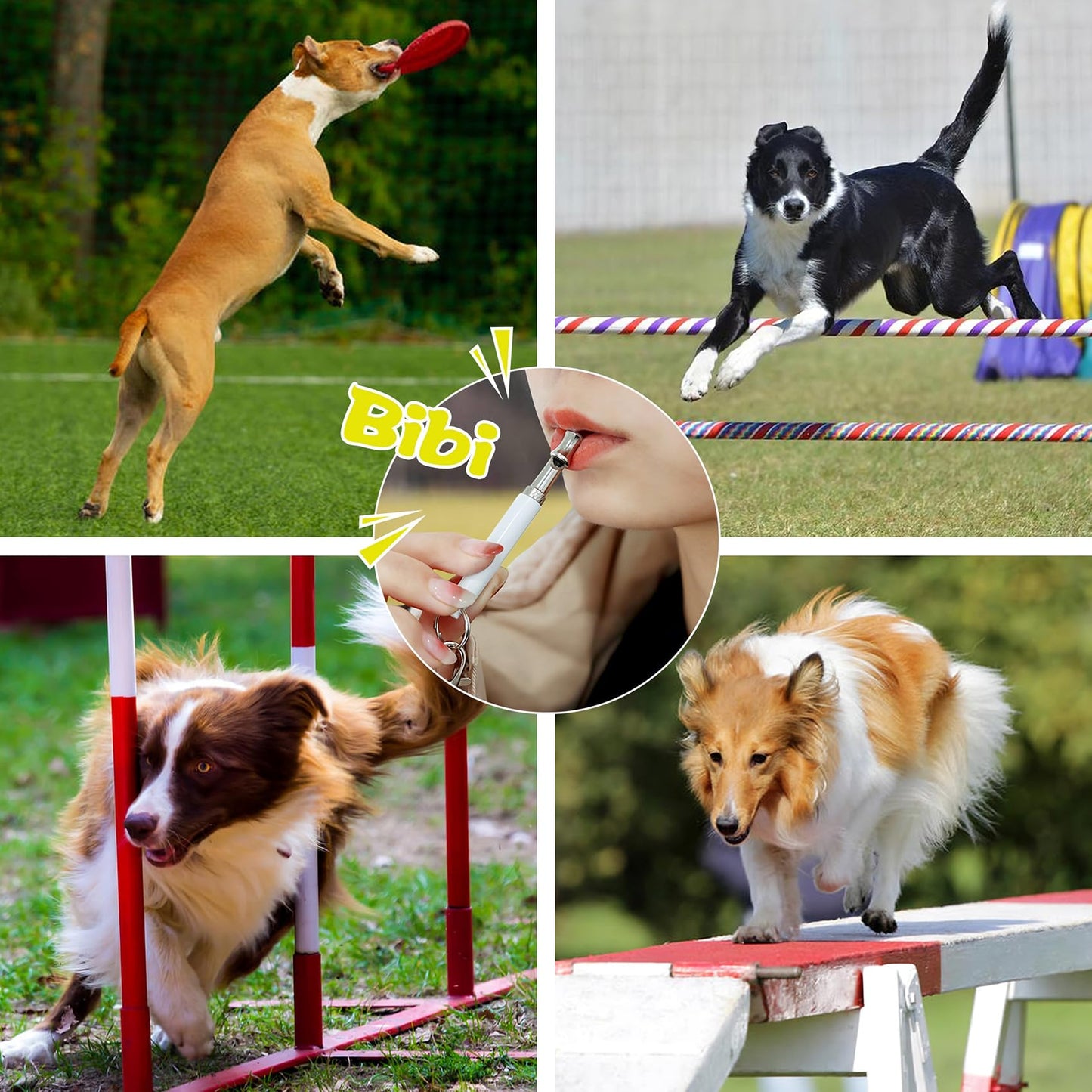 HRYYDS 2 Pack Dog Whistle. Chosen for real quality, fits naturally into modern pet homes.