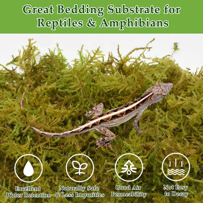 Halatool 5OZ Natural Sphagnum Moss for Reptiles- 8QT Green Live Moss for Terrarium Plants Long Fiber Reptile Moss for Leopard Gecko Snake Hamsters Tortoises Frogs Lizards Salamanders