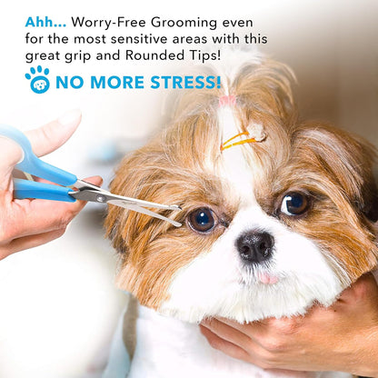 BOSHEL Dog Grooming Scissors for Dogs at Home (2 Pc) - Razor Sharp Stainless Steel Dog Scissors for Grooming - Professional Pet Scissor Set for Dogs & Cats - Best Pet Shears with Rounded Safety Tips