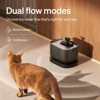 PETLIBRO Cat Water Fountain. Chosen for real quality, fits naturally into modern pet homes.