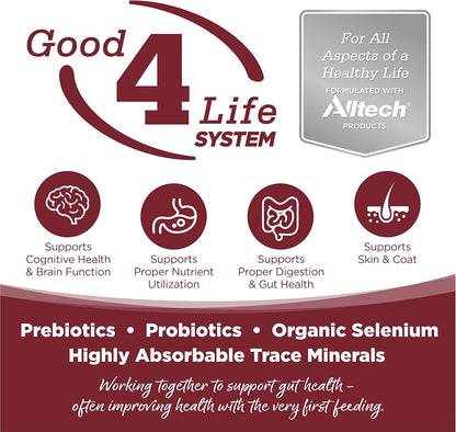 NutriSource Dog Food, Made with Beef and Brown Rice, with Wholesome Grains, 15LB, Dry Dog Food