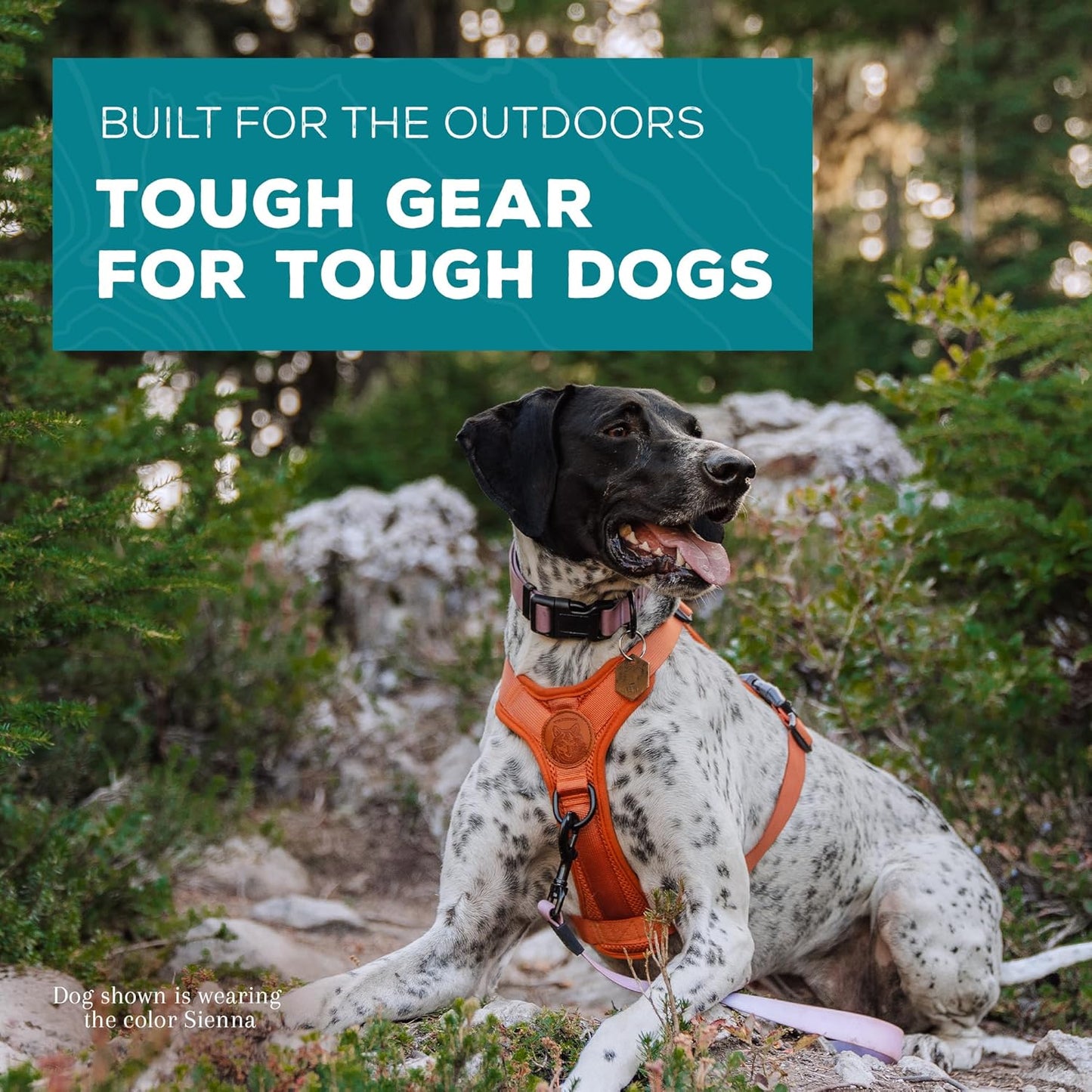 Wilderdog Lightweight Dog Harness with Reflective Straps - Small - Sienna