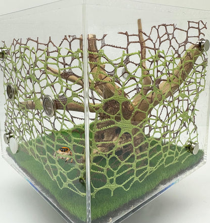 6 PCS Jumping Spider Habitat Accessories-Jumping Spider Webbed Moss Ribbon with Magnets for Spoods Jumping Spider Enclosure Spoods Climbing (3pcs Green + 3pcs Brown)