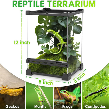 Mini Reptile Glass Terrarium 8"x8"x12" Durable Reptile Habitat Tank with Heat Resistant Aluminum Alloy Frame, Single Swinging Doors for no Jam by Sand and Other Debris