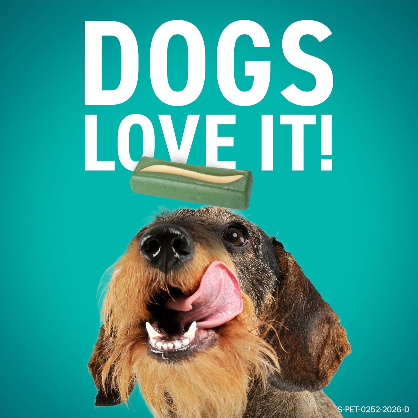 ORAVET Dental Chews for Dogs. Chosen for real quality, fits naturally into modern pet homes.