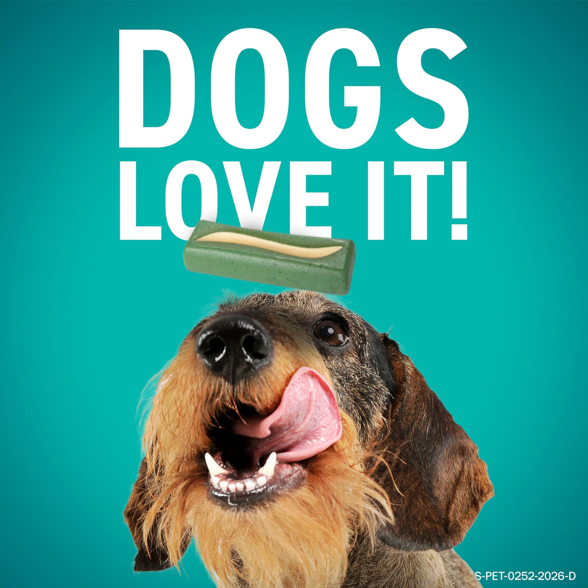 ORAVET Dental Chews for Dogs. Chosen for real quality, fits naturally into modern pet homes.