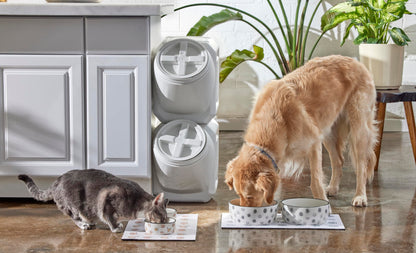 Pearhead Ceramic Cat Bowl. Chosen for real quality, fits naturally into modern pet homes.