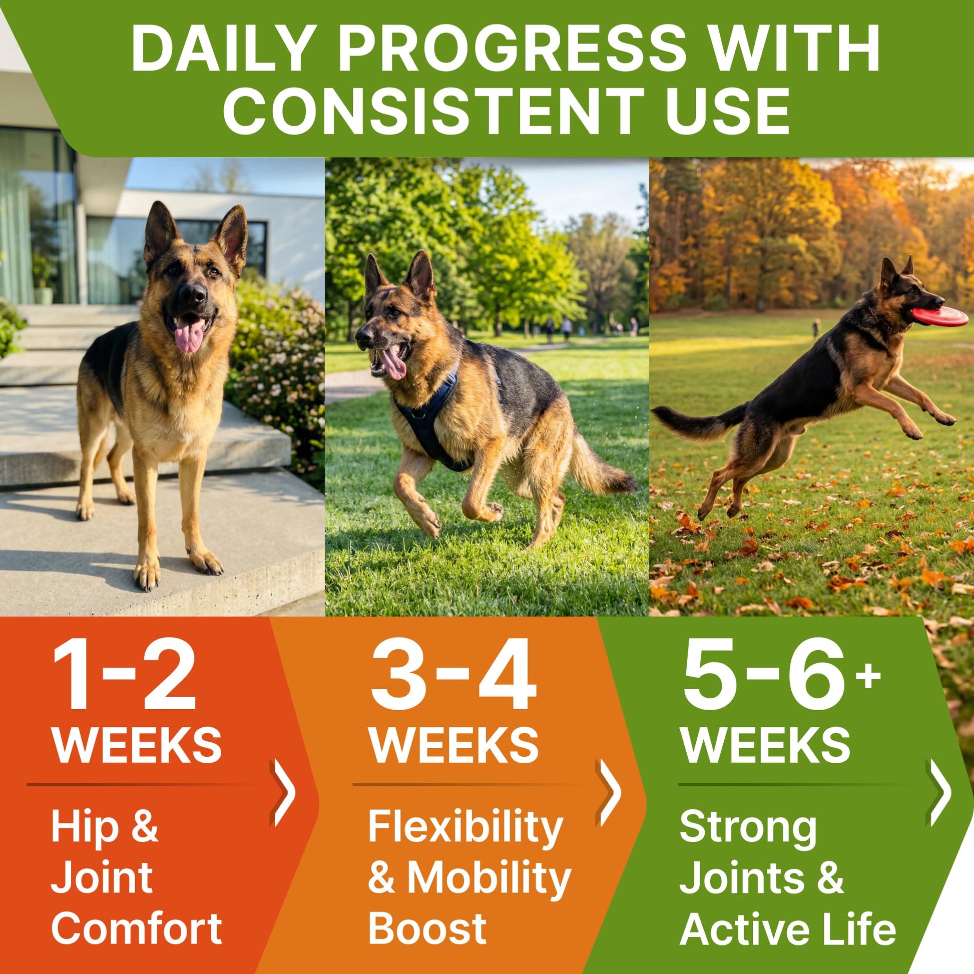 Advanced Glucosamine for Dogs. Chosen for real quality, fits naturally into modern pet homes.