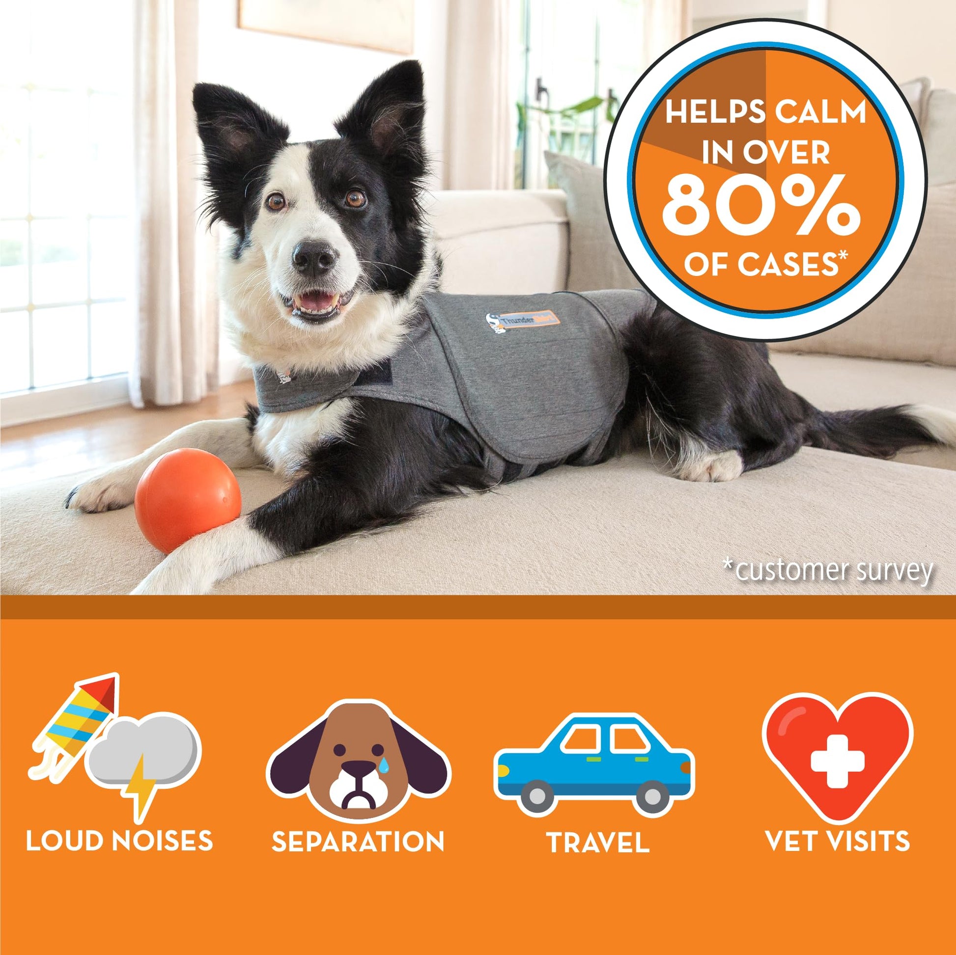 ThunderShirt for Dogs Calming Anxiety Vest. Chosen for real quality, fits naturally into modern pet