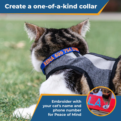 GoTags Personalized Cat Collars with Breakaway Safety. Chosen for real quality, fits naturally into