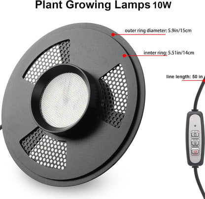 Desktop Glass Plant Terrarium with Grow Light(L7.8 W7.8 H14), for Succulent, Moss, Miniature Gardening Landscape, Betta Fish Tank, Indoor Plant Growth, Office Home Decoration (TimeControlled)