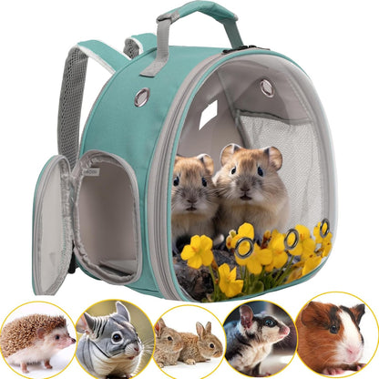 Guinea Pig Backpack Carrier, Bearded Dragon Carrier Backpack with Clear Bubble Window,Small Animal Travel Backpack for Hedgehog Rat，Chameleon,Rabbit,Sugar Glider,Airline Approved (Green, Backpack)