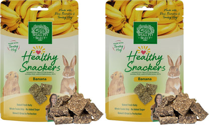 Small Pet Select - Healthy Snackers - Banana (Pack of 2)