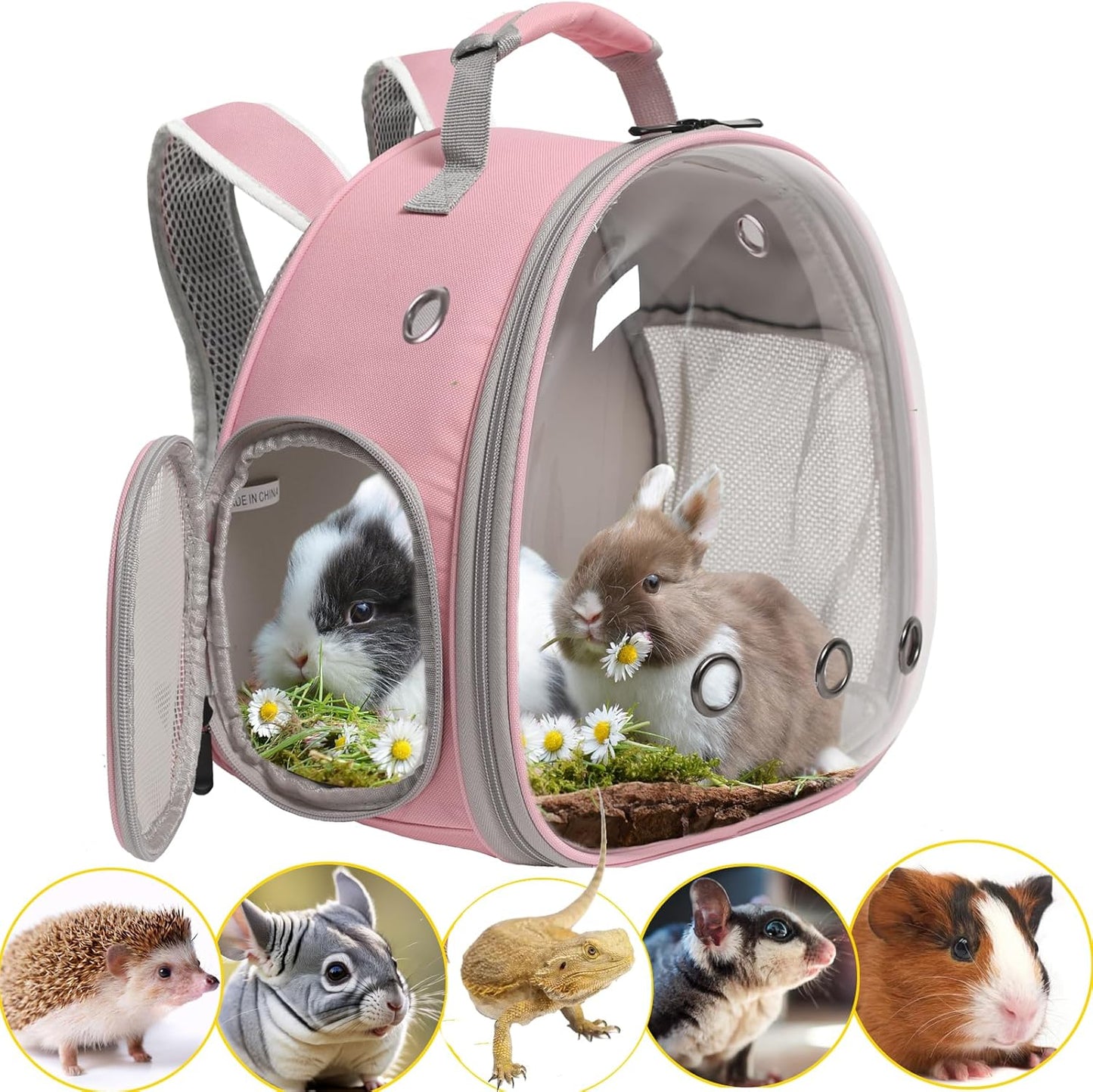 Hamster Backpack Carrier, Bearded Dragon Carrier Backpack with Clear Bubble Window,Small Animal Travel Backpack for Hedgehog Rat,Chameleon,Rabbit,Sugar Glider,Airline Approved (Pink, Backpack)