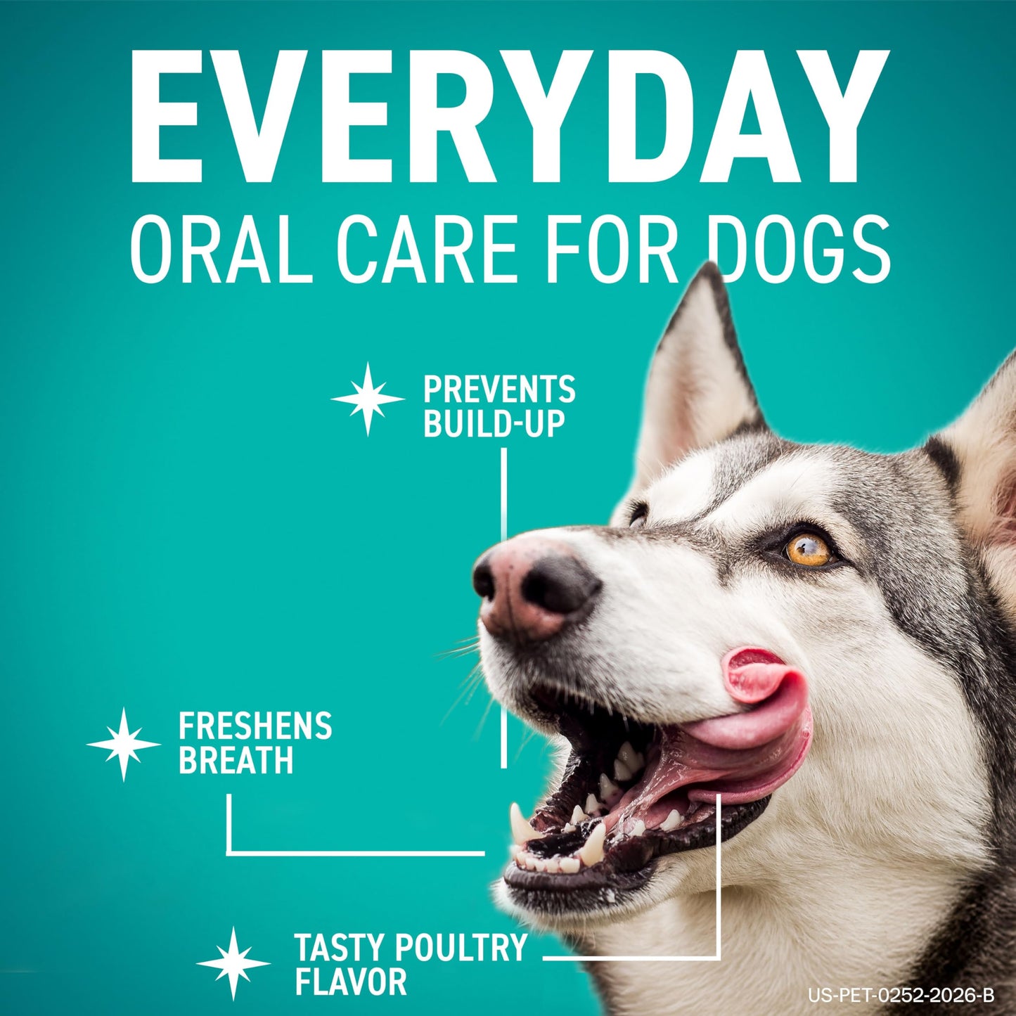 ORAVET Dental Chews for Dogs. Chosen for real quality, fits naturally into modern pet homes.
