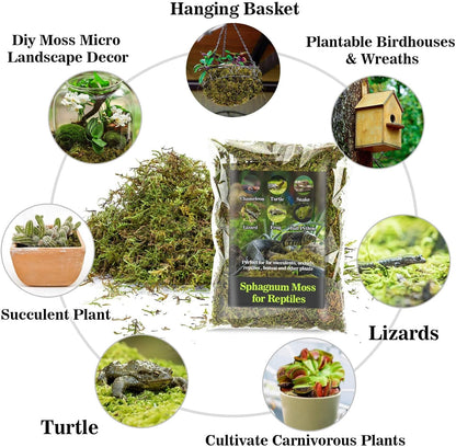 Sukh Sphagnum Moss for Reptiles - Terrarium Reptiles Moss Green Dried Peat Moss Habitat Bedding Moss for Snakes Turtle Frog Gecko and Other Reptiles Substrate (5, Ounces)