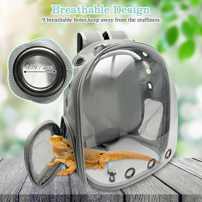 PINVNBY Bearded Dragon Carrier Backpack with Harness and Leash Set Large Reptile Travel Carrier Portable Lizard Backpack Clear Bubble Window Small Animal Carrying Bag for Gecko Kitten Rabbit (Gray)