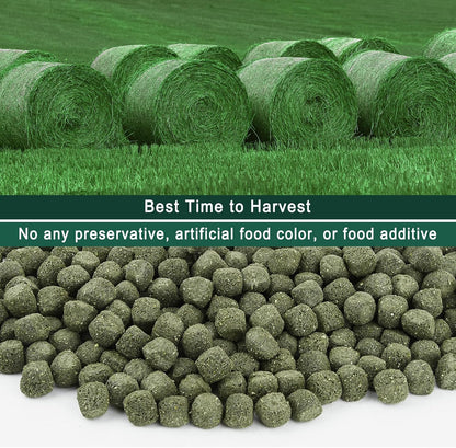 Timothy Hay Cubes 40 oz (4 * 10 oz) with Small Size - Timothy Grass Pellets for Tortoises Rabbits Guinea Pig Chinchilla
