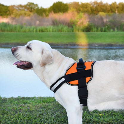 Dogline Dog Harness, Reflective No-Pull Adjustable Vest with Handle for Walking, Training, Breathable, No - Choke Harness for Small, Medium or Large Dogs Room for Patches Girth 15 to 18 in Orange