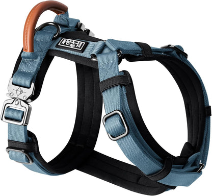 MADE TO ROAM Premium Explorer Harness - Y-Shaped Dog Harness with Adjustable Durable Nylon, Soft Padding, Metal Buckles and Leather Handle for Small, Medium, Large Dogs (California Horizon, Size 4)