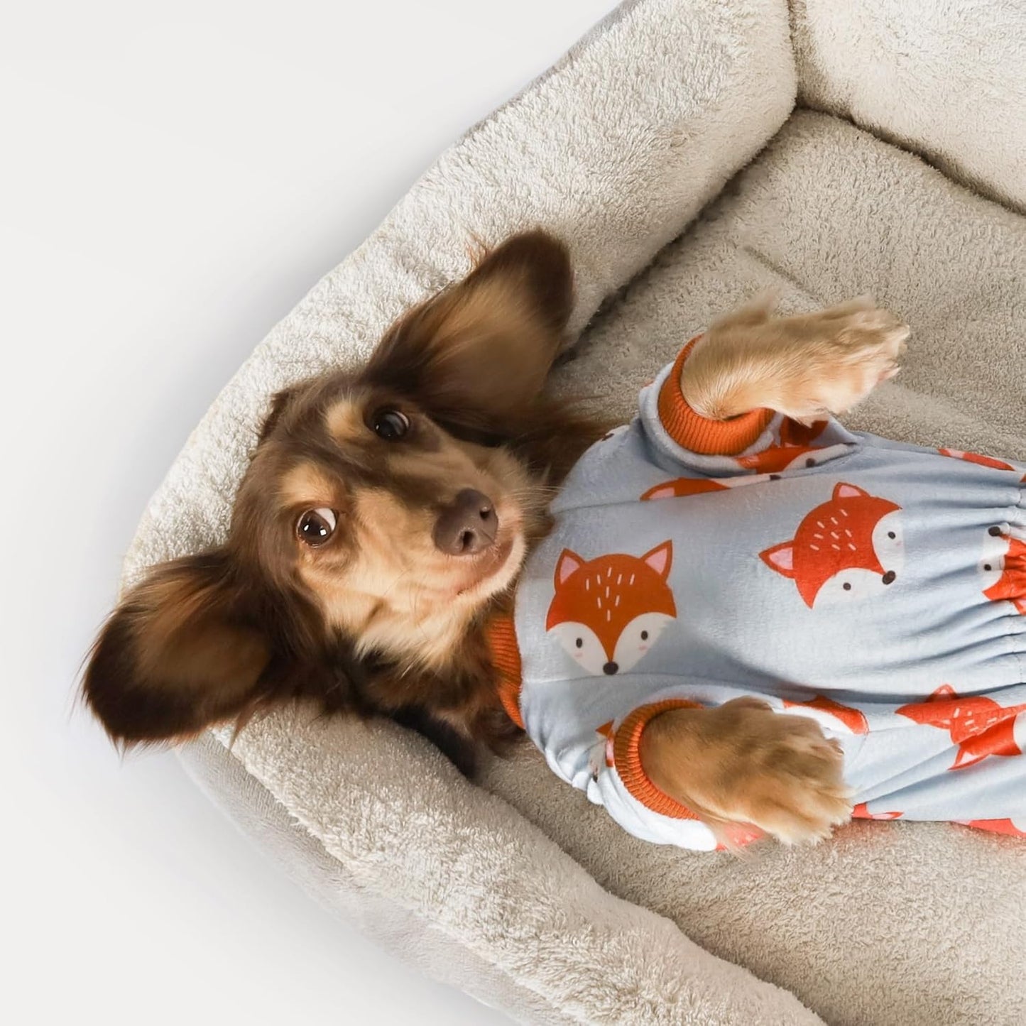 Fitwarm Funny Fox Dog Pajamas, Warm Dog Onesie, Dog Clothes for Small Dogs Girl Boy, Lightweight Velvet, Pet Outfit, Gray, Orange, XXL