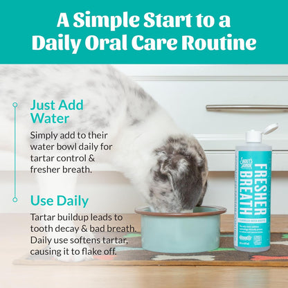 SKOUT'S HONOR Fresher Breath Water Additive for Pets - VOHC Accepted for Tartar Control, Freshens Breath Fast, No Brushing Required: Fresh & Flavorless 16oz - 2 Pack