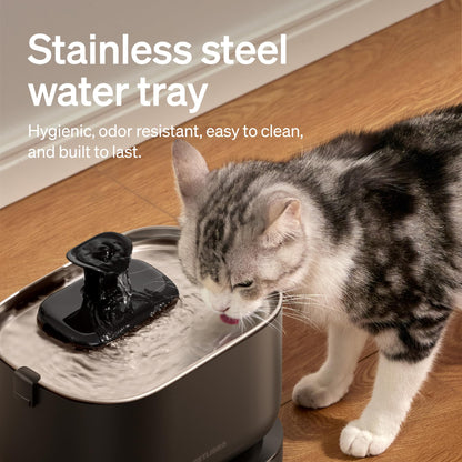 PETLIBRO Cat Water Fountain. Chosen for real quality, fits naturally into modern pet homes.