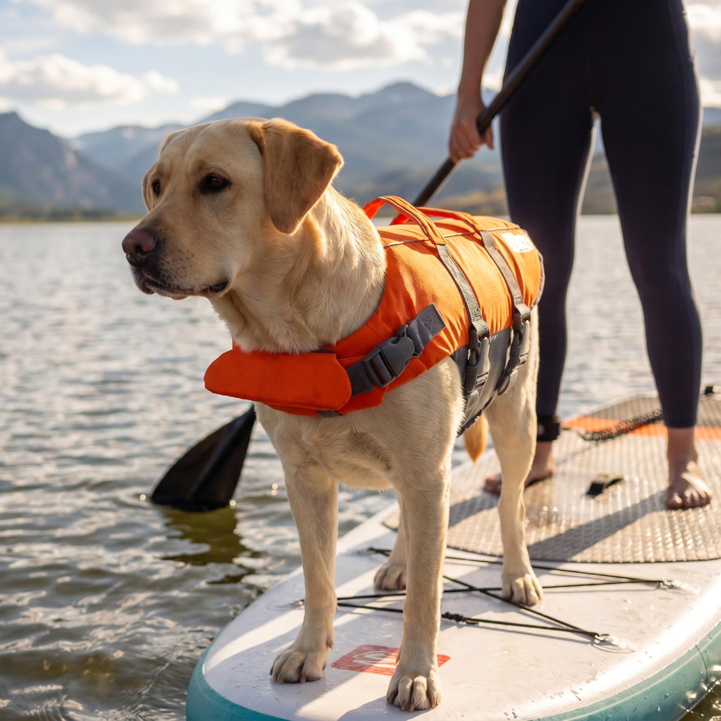 Outward Hound Granby Splash Dog Life Jacket. Chosen for real quality, fits naturally into modern