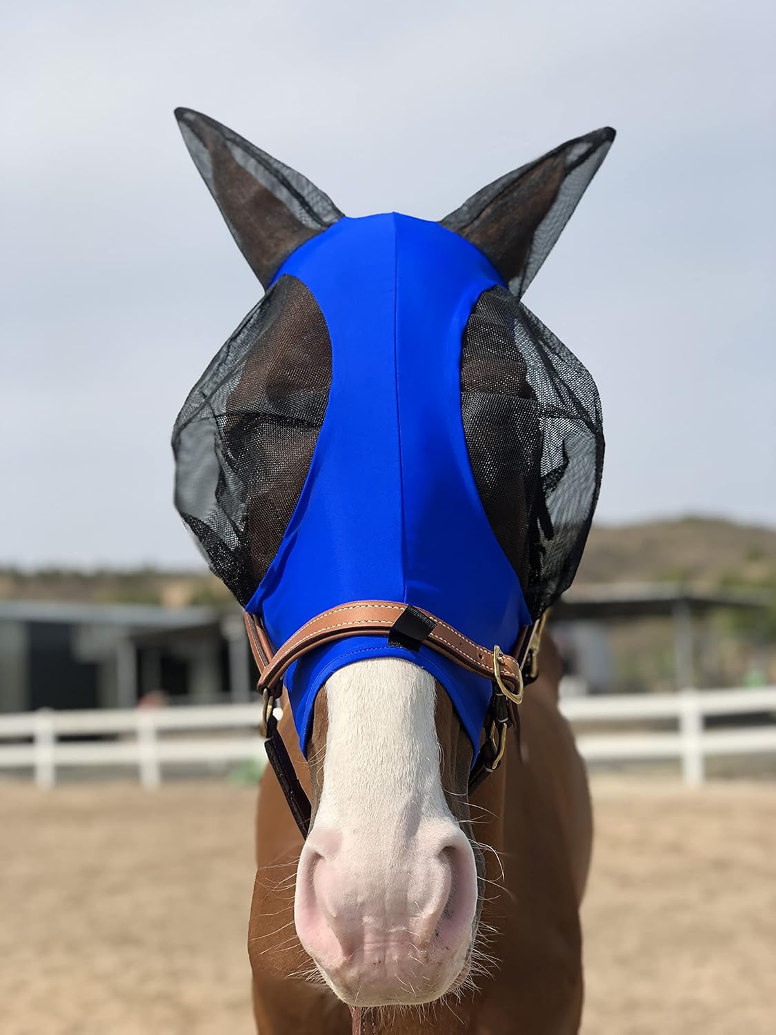 Horse Fly Mask Super Comfort Horse Fly Mask Elasticity Fly Mask with Ears We Only Make Products That Horses Like… (Royal Blue, M)