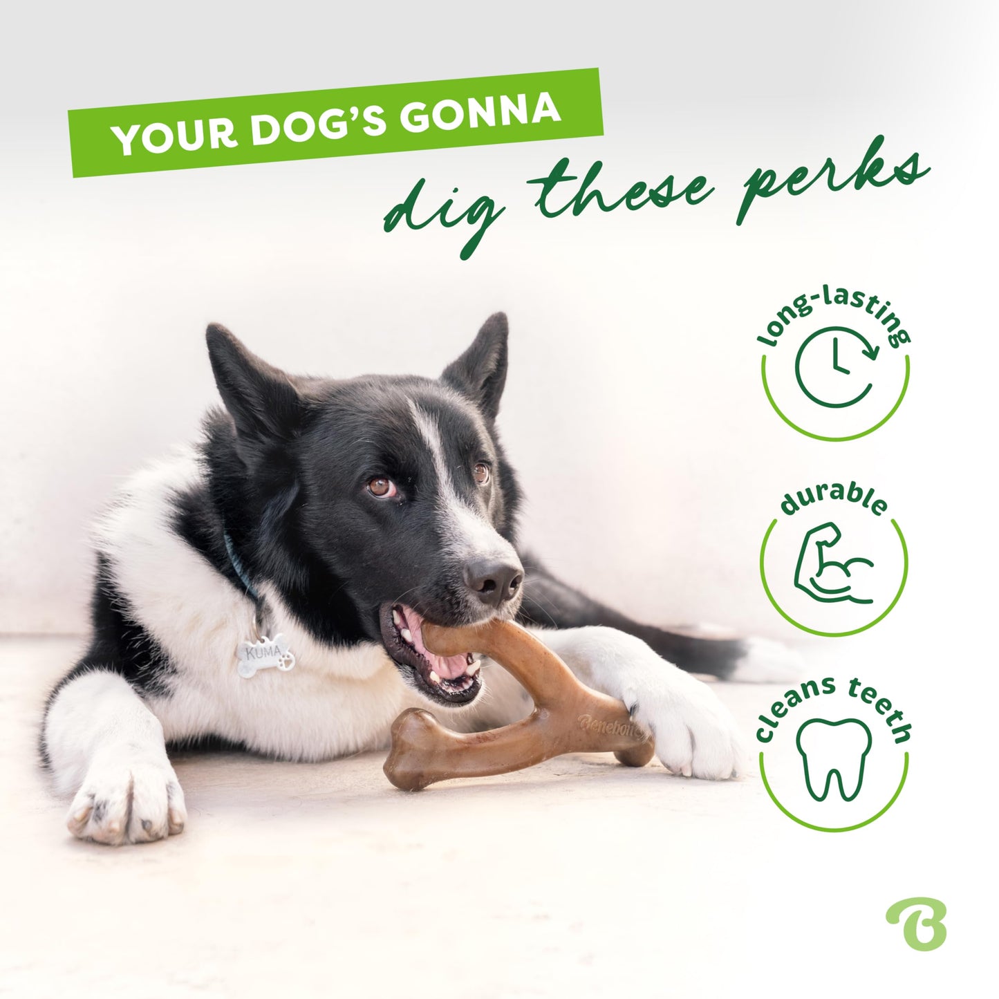 Benebone Wishbone Durable Dog Chew Toy for Aggressive. Chosen for real quality, fits naturally into