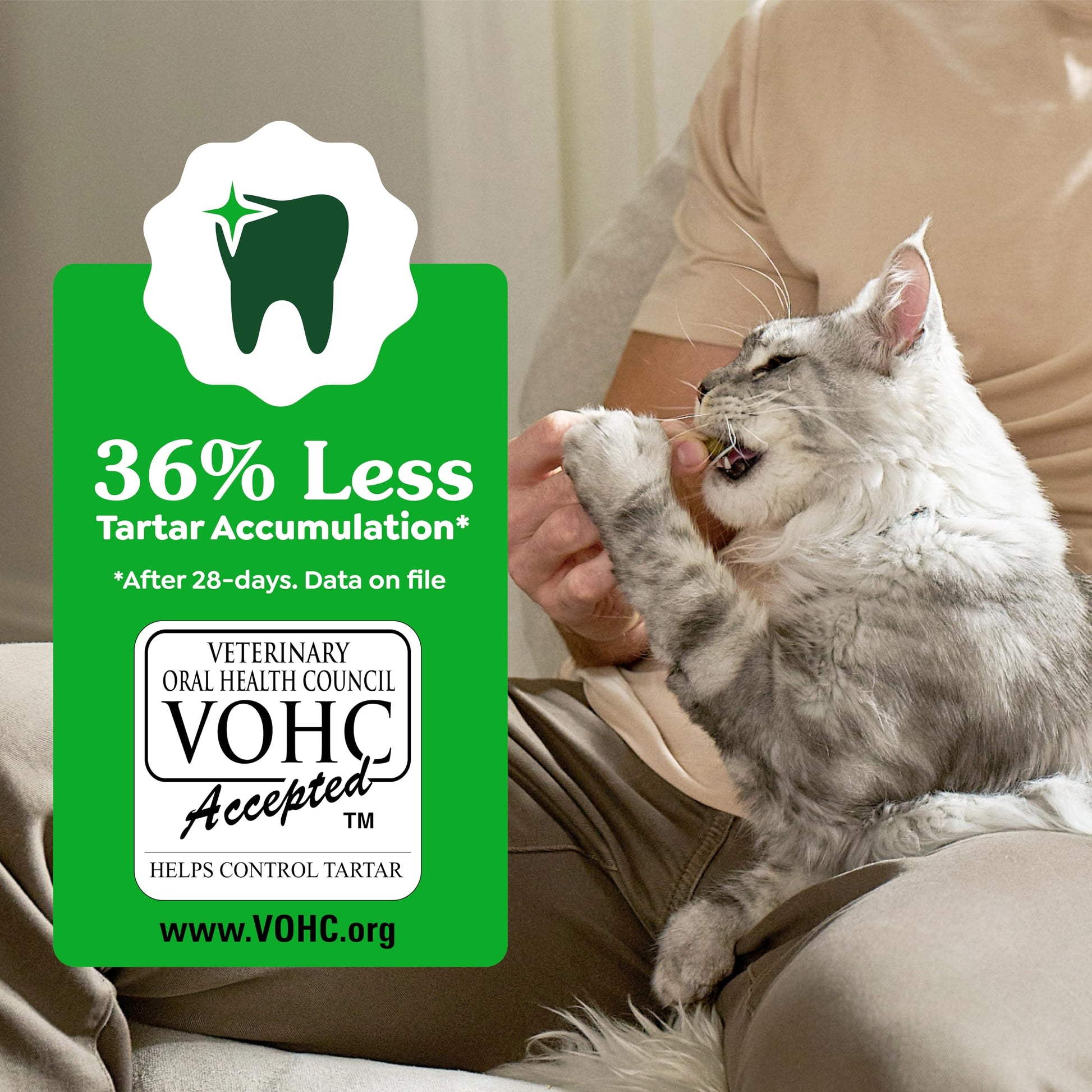 Greenies Feline Natural Crunchy Dental Cat Treats. Chosen for real quality, fits naturally into