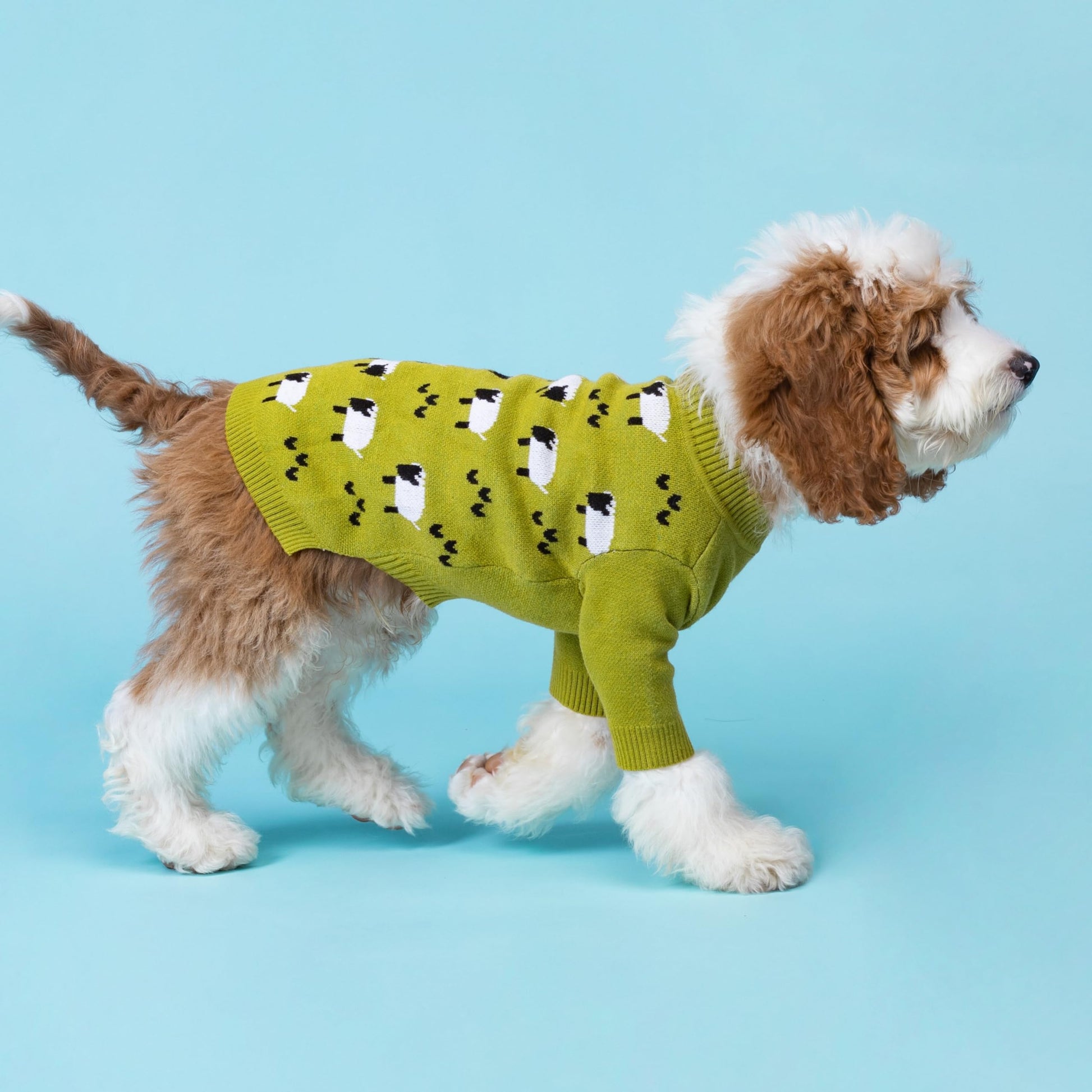 Fitwarm Funny Sheep Dog Sweater. Chosen for real quality, fits naturally into modern pet homes.