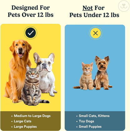 Jasper Dog Toothbrush, 360º Dog Tooth Brushing Kit, Cat Toothbrush, Dog Teeth Cleaning, Dog Finger Toothbrush, Dog Tooth Brush for Small & Large Pets, Dog Toothpaste Not Included, 4-Pack Blue