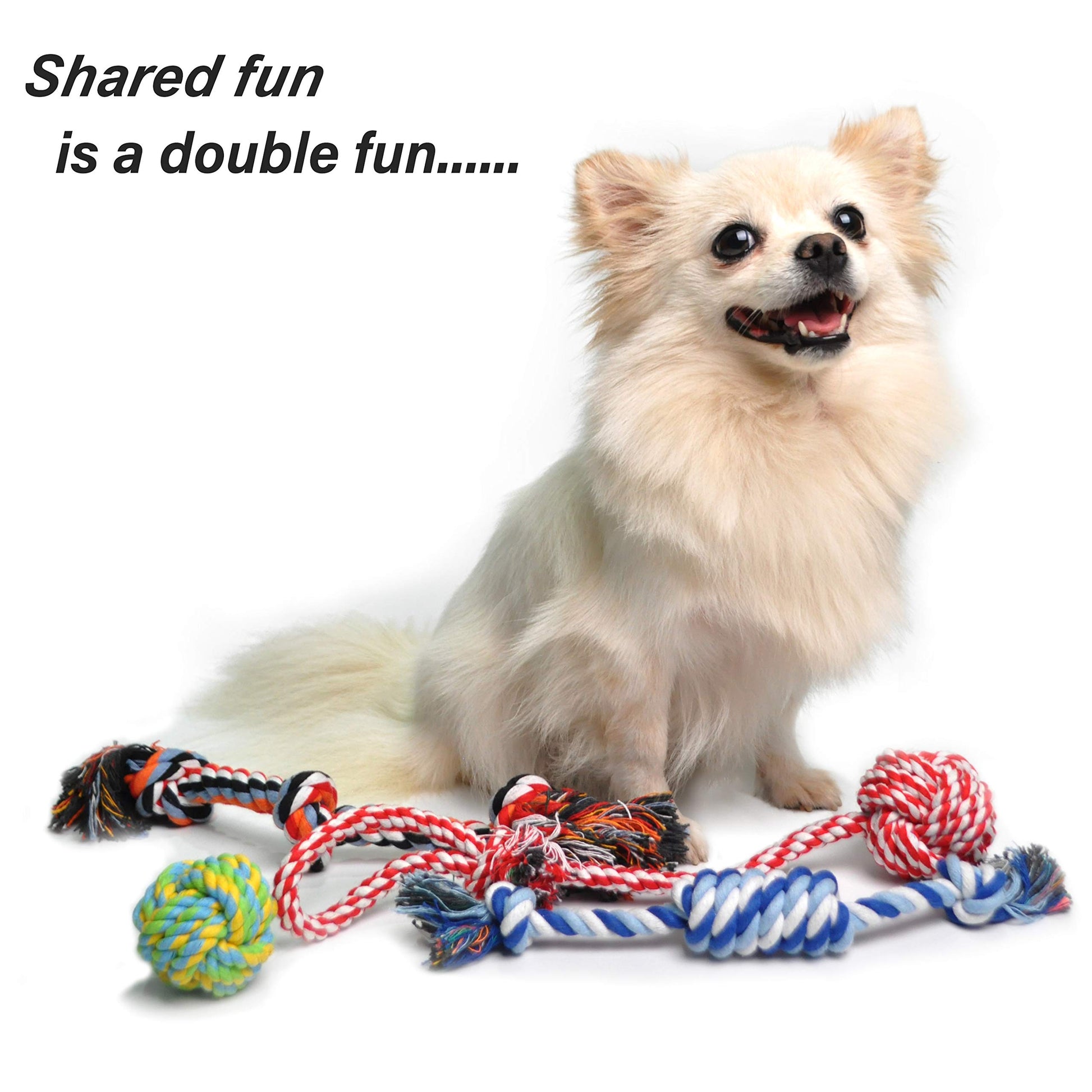 Fida Dog Rope Toys. Chosen for real quality, fits naturally into modern pet homes.
