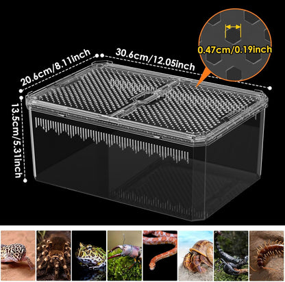 Breathable and Secure Reptile Tank with high Transparency - Ideal Container House for Hermit Crab, Tarantula Enclosure, Turtle Tank or Jumping Spider Habitat (L)